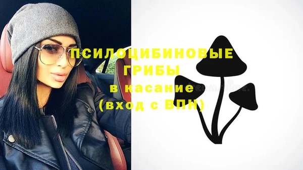 амф Сафоново